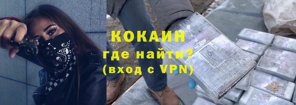 эйфоретик Няндома