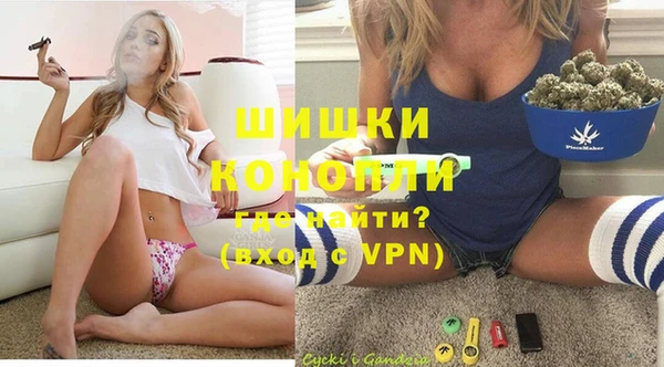 эйфоретик Няндома