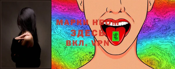 эйфоретик Няндома