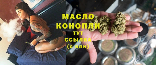 эйфоретик Няндома