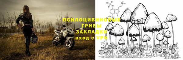 соль курить ск Нязепетровск