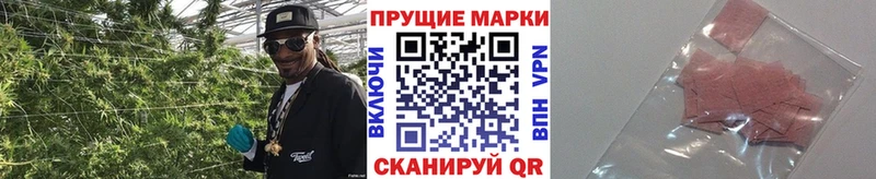 дарк нет официальный сайт  Полярный  Марки NBOMe 1500мкг 